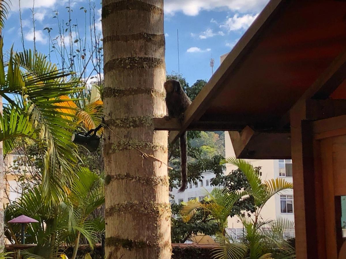 Pousada Pataca De Prata - Pousada De Epoca Petrópolis エクステリア 写真